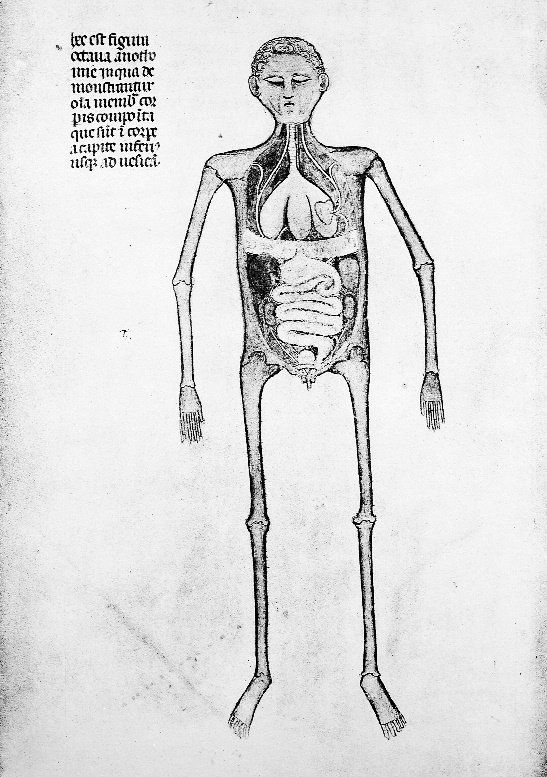 Εικονογράφηση από το βιβλίο «Anatomies de Mondino dei Luzzi et de Guido de Vigevano» (= Ανατομίες του Mondino dei Luzzi και του Guido de Vigevano). Mondino dei Luzzi (-1326) και Guido de Vigevano (περ.1280-περ.1350), σε επιμ. Ernest Wickersheimer (1880-1965). 1926. Συλλογή Wellcome. Πηγή: Συλλογή Wellcome.
